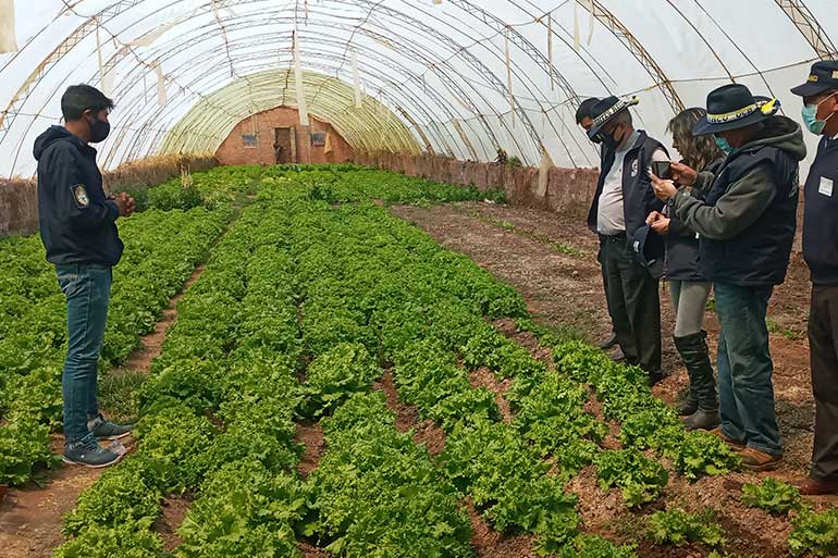 El Modelo de Impacto de Fundación Solydes en Bolivia